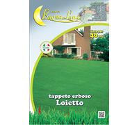 HORTUS SEMENTI Semi Prato kg 1 LOIETTO 76