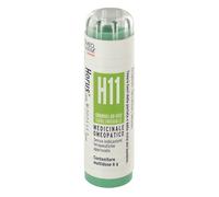 Horus H11 Granuli Multidose Cemon