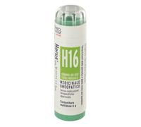 Horus 16 Granuli Multidose Cemon