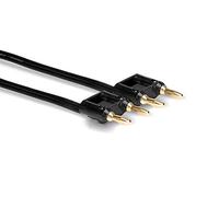 Hosa SKZ-610BB, Speaker Cable, Hosa Dual Banana to Same, Black Zip, 10 ft