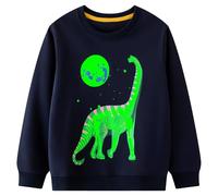 Hoseay Felpa Bambino Cotone Girocollo Dinosauro Pullover Ragazzo Manica Lunga Maglietta Casual Sweatshirt Sportivo Maglione Tops Ragazzi Regalo Bambini Abbigliamento 6-7 Anni, Blu Scuro