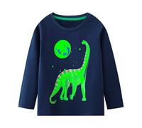 Hoseay Maglietta Manica Lunghe Ragazzi Cotone Morbido T-Shirt con Girocollo Luminoso Dinosauro Stampa Tee Shirt Casual Basic Sport Top Bambini Abbigliamento per 4-5 Anni, Blu