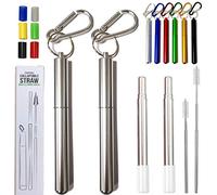 Hoshen, Cannucce telescopiche portatili, pieghevoli, in metallo, 2 pezzi, con spazzole e testine in silicone (con guaina), argento