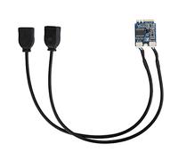 Hosit Scheda di Montaggio da M.2 NGFF a USB, Installazione Semplice a Doppia Porta Scheda di Espansione Portatile da Key A-E a USB 2.0, Resistente per Notebook con Interfaccia M.2 Key A-E