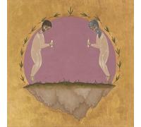 Hospital Ships The Past Is Not A Flood (Vinyl LP)