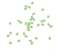Hosrivae 100 perline luminose in plastica morbida per pesca notturna e in acque profonde, attrezzatura galleggiante con forma ovale, design a bassa resistenza, 5-9