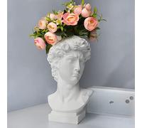 Hosrnovo - Statua greca, 25,4 cm, grande vaso a forma di testa di David, vaso per giardino e casa, stile romano, vintage, per fiori bianchi, regalo creativo per l'inaugurazione della casa