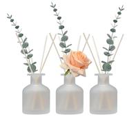 HOSSIAN Diffusore di canna- Diffusore di canna Bottiglie vuote con Diffusore Sticks- Bottiglie di diffusore -Diffusore Jars per la decorazione di profumo di olio per la Regalo (Bianco)