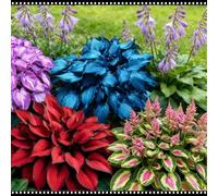 Hosta da giardino per esterni - Tollerante all'ombra e resistente al freddo - Trasforma le zone ombrose dei giardini - Adatta per piantagioni in massa-8 PIECE-D