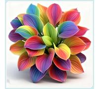 Hostas/Rizoma Hosta-Perfetto per chi è sempre indaffarato/Richiede poca manutenzione-10 Rhizome-H