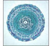 Hostile Little Face - Architect The