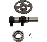 HOT CAMS 5046-1E ALBERO A CAMME DI SCARICO STAGE 1 POLARIS PREDATOR 500 2X4 2003