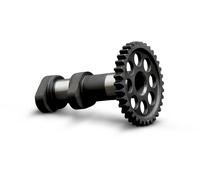 Hot Cams Albero A Camme Racing Fase 1 E 2 #3307-E