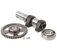 Hot Cams Fase 1 Scarico Camme 5046-1E
