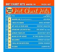 Hot Chart Hits Winter '99 (Karaoke) by Various (2013-07-31)