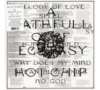 Hot Chip - A Bath Full Of Ecstasy (Crystal Clear Vinyl)