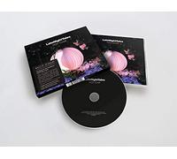 Various Artists Late Night Tales: Hot Chip (CD) Album