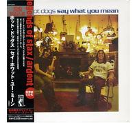 Hot Dogs - Say What You Mean