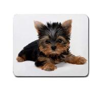 Hot New Yorkie Yorkshire Terrier Dog Puppy Mouse Pad Tappetini Mousepad