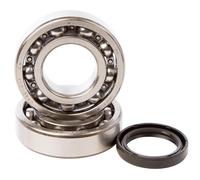 HOT RODS K043 KIT CUSCINETTI E PARAOLI ALBERO MOTORE KAWASAKI KX 250 F 2004