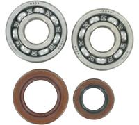 HOT RODS K064 KIT CUSCINETTI E PARAOLIO ALBERO MOTORE PRINCIPALE KTM SX 65 2017