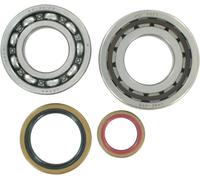 HOT RODS K066 KIT CUSCINETTI E PARAOLIO ALBERO MOTORE PRINCIPALE KTM XC 250 2008