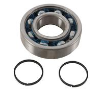 HOT RODS K081 KIT CUSCINETTI E PARAOLI ALBERO MOTORE YAMAHA YXR 450F RHINO 2008