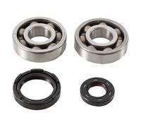 HOT RODS K228 KIT CUSCINETTI E PARAOLI ALBERO MOTORE YAMAHA YZ 250 1993