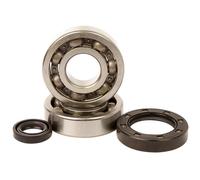 HOT RODS K234 KIT CUSCINETTI E PARAOLI ALBERO MOTORE HONDA CR 500 R 1998