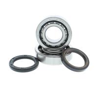 HOT RODS Kit cuscinetti e tenute per filatura albero motore - Honda CRF 450
