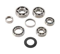 HOT RODS TBK0008 KIT CUSCINETTI TRASMISSIONE HONDA CRF 250 X 2009