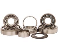 Hot Rods Trasmissione Cuscinetto Kit TBK0044