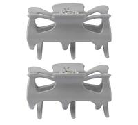 Hot Roller Clips 2pcs | Replacement for Women/Youngsters Hair Styling | Stainless Steel Spring & Firm - Grip ABS | Trustworthy Wet/Dry Hair Sectioning