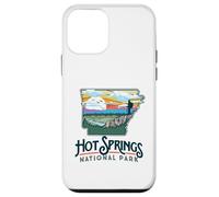 Hot Springs National Park Arkansas Nature Illustration Custodia per iPhone 12 mini