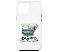 Hot Springs National Park Arkansas Nature Illustration Custodia per iPhone 12 Pro Max