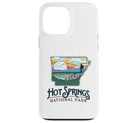 Hot Springs National Park Arkansas Nature Illustration Custodia per iPhone 13 Pro Max