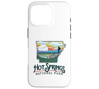 Hot Springs National Park Arkansas Nature Illustration Custodia per iPhone 16 Pro