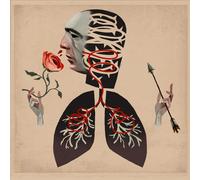 Hot Water Music - VOWS [Vinyl LP] [VINYL]