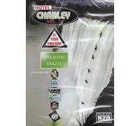 Hotel Charley 4: At Your Own Risk [DVD]