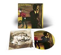 hotel, dulce hotel. picture vinyl.