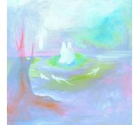 Hotel Fiction Staring at the Sun (Deluxe Edition) (Vinyl LP)