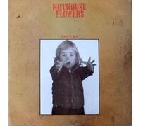 HOTHOUSE FLOWERS - HOTHOUSE FLOWERS - DONT GO - 12" VINYL