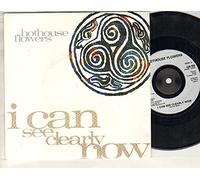 HOTHOUSE FLOWERS - HOTHOUSE FLOWERS - I CAN SEE CLEARLY NOW - 7" VINYL