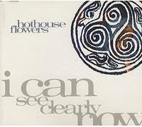 Hothouse Flowers - I can see clearly now [Single-CD]