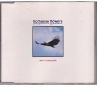 Hothouse Flowers - Isn'T It Amazing