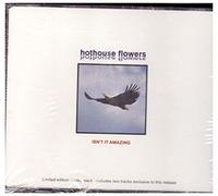 HOTHOUSE FLOWERS - Isn't It Amazing- Part 1