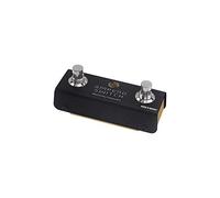 Hotone Ampero Switch