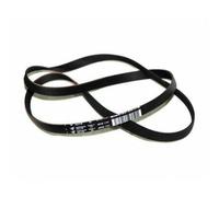 CINGHIA RIGATA ELASTICA 1191 H8 ORIGINALE ARISTON C00305069