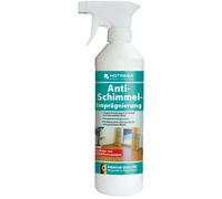 HOTREGA Spray Impregnante Anti-Muffa 500 ml per pareti interne