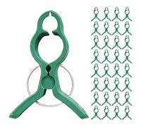 HOUDERCO Clip di Supporto per Piante Pomodori Morsetti Flessibili e Robusti 60 Pezzi in Plastica Verde per Sostegno Steli, per Giardino e Tralicci